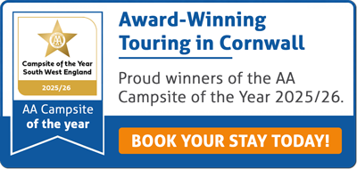 AA Campsite of the year 2025